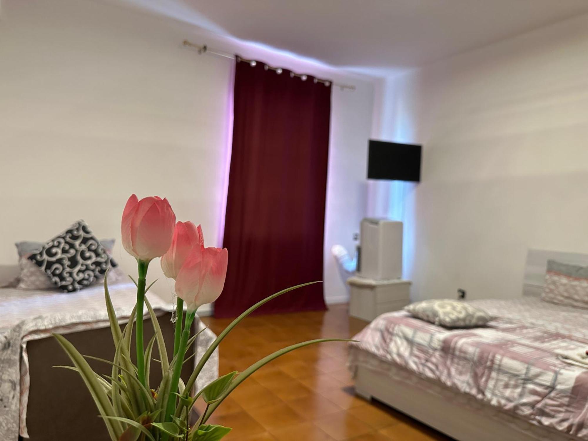 Good Morning Venice Apartment ภายนอก รูปภาพ